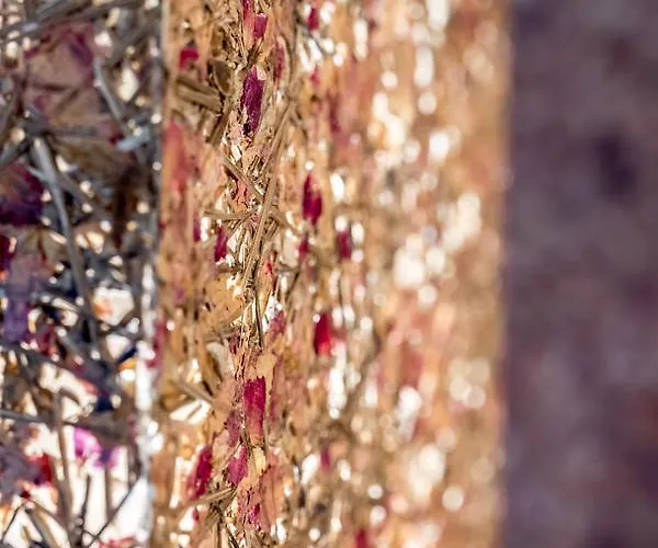 Szálloda Berge Lifestyle-hotel Sölden