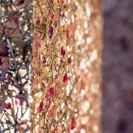 Hotel Berge Lifestyle-hotel Solden