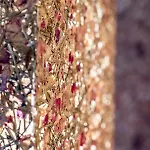 Hotel Berge Lifestyle-hotel Solden